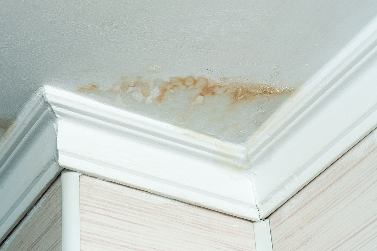 Top 5 Roofing Problems That Could Cost You Thousands